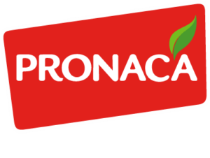 pronaca